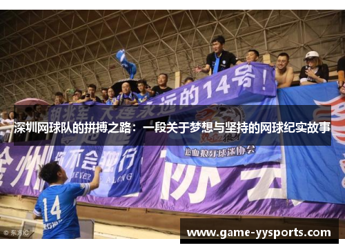 深圳网球队的拼搏之路：一段关于梦想与坚持的网球纪实故事